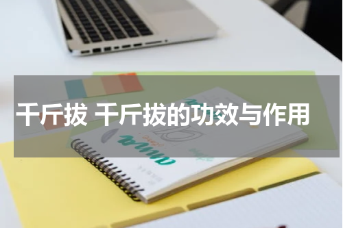 千斤拔 千斤拔的功效与作用
