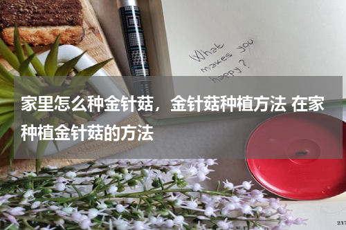 家里怎么种金针菇，金针菇种植方法 在家种植金针菇的方法