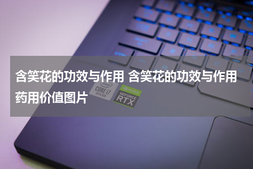 含笑花的功效与作用 含笑花的功效与作用药用价值图片