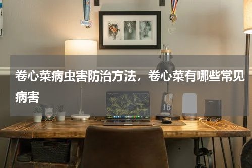 卷心菜病虫害防治方法，卷心菜有哪些常见病害