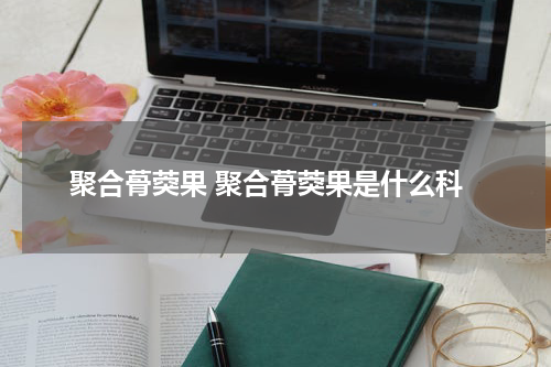 聚合蓇葖果 聚合蓇葖果是什么科