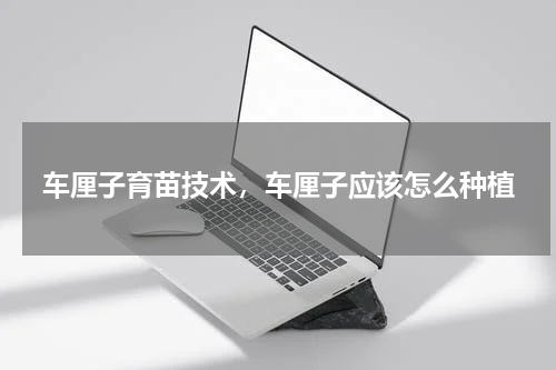 车厘子育苗技术，车厘子应该怎么种植