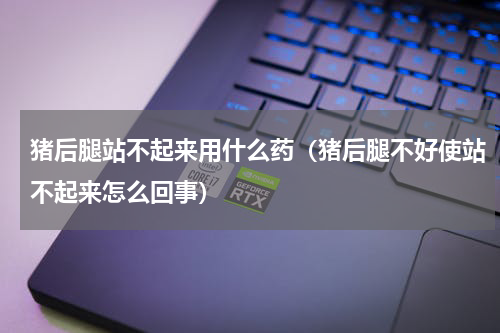 猪后腿站不起来用什么药（猪后腿不好使站不起来怎么回事）