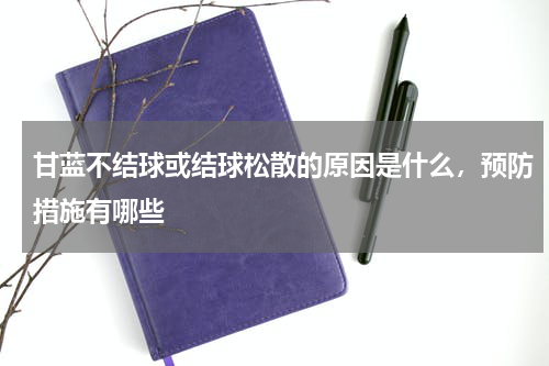 甘蓝不结球或结球松散的原因是什么，预防措施有哪些