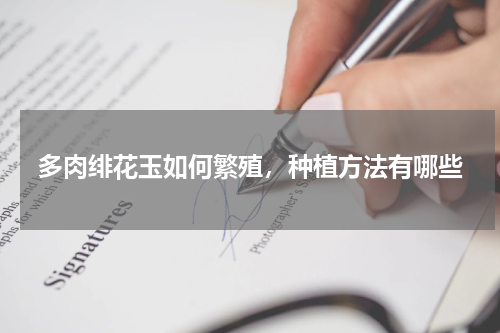 多肉绯花玉如何繁殖，种植方法有哪些