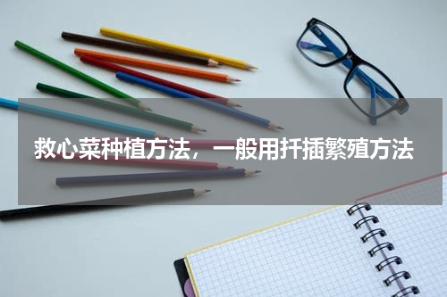 救心菜种植方法，一般用扦插繁殖方法