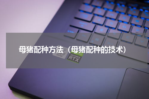母猪配种方法（母猪配种的技术）