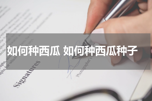如何种西瓜 如何种西瓜种子