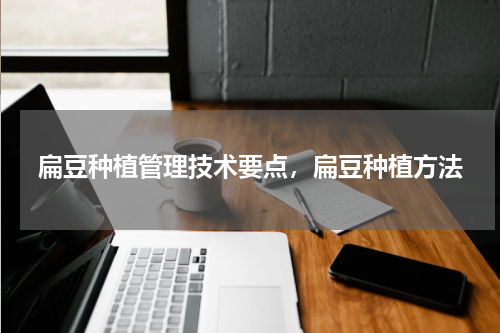 扁豆种植管理技术要点，扁豆种植方法
