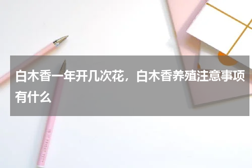 白木香一年开几次花，白木香养殖注意事项有什么