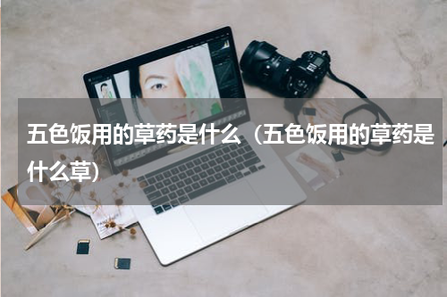 五色饭用的草药是什么（五色饭用的草药是什么草）