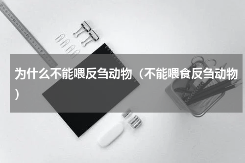 为什么不能喂反刍动物（不能喂食反刍动物）