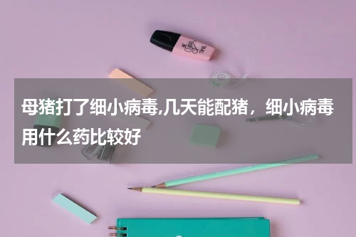母猪打了细小病毒,几天能配猪，细小病毒用什么药比较好