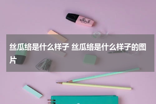 丝瓜络是什么样子 丝瓜络是什么样子的图片