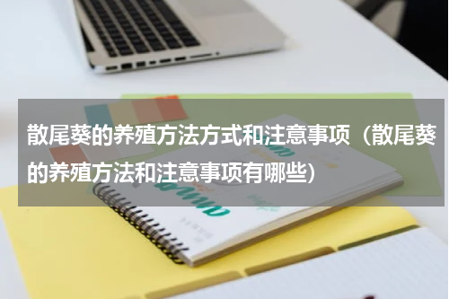 散尾葵的养殖方法方式和注意事项（散尾葵的养殖方法和注意事项有哪些）