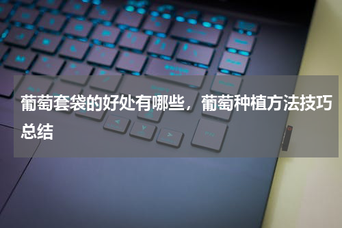 葡萄套袋的好处有哪些，葡萄种植方法技巧总结