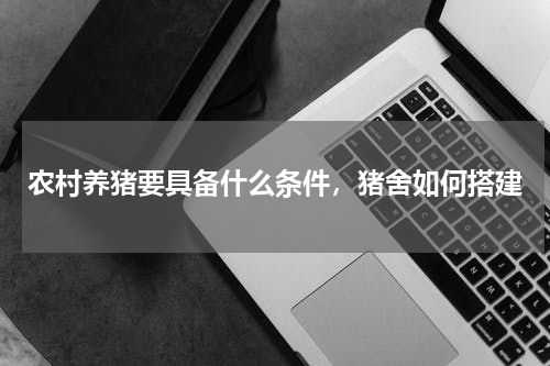 农村养猪要具备什么条件，猪舍如何搭建