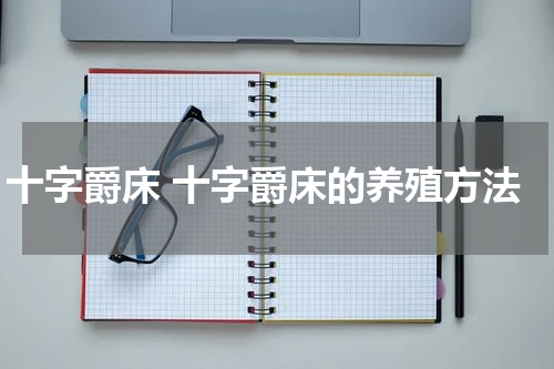 十字爵床 十字爵床的养殖方法