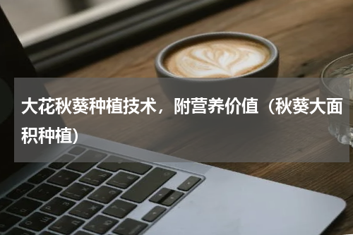 大花秋葵种植技术，附营养价值（秋葵大面积种植）
