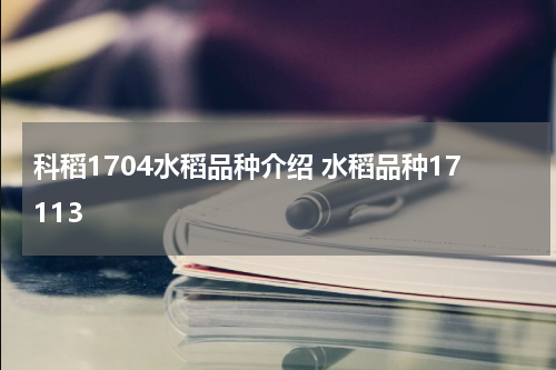 科稻1704水稻品种介绍 水稻品种17113