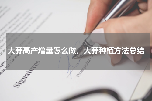 大蒜高产增量怎么做，大蒜种植方法总结