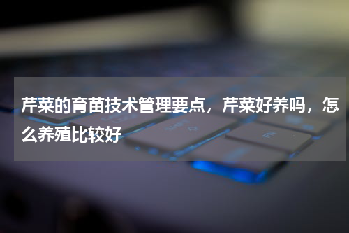 芹菜的育苗技术管理要点，芹菜好养吗，怎么养殖比较好