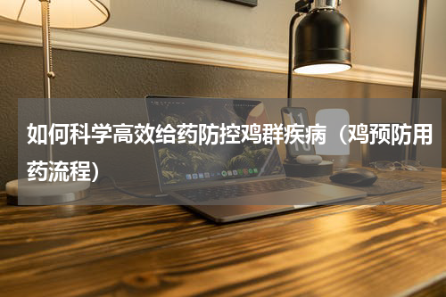 如何科学高效给药防控鸡群疾病（鸡预防用药流程）