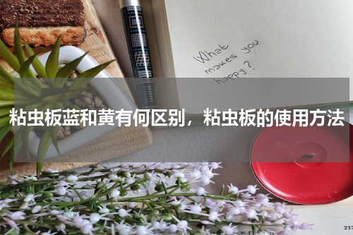 粘虫板蓝和黄有何区别，粘虫板的使用方法