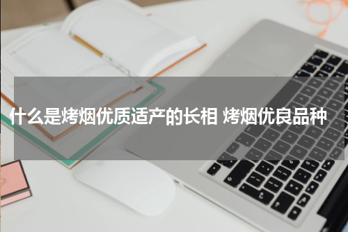 什么是烤烟优质适产的长相 烤烟优良品种
