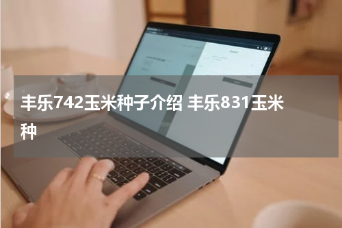 丰乐742玉米种子介绍 丰乐831玉米种