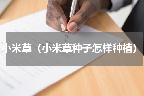 小米草（小米草种子怎样种植）
