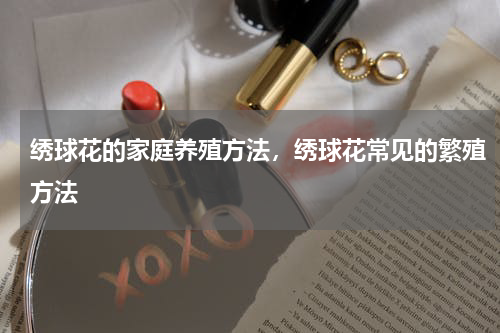绣球花的家庭养殖方法，绣球花常见的繁殖方法