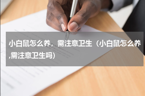 小白鼠怎么养，需注意卫生（小白鼠怎么养,需注意卫生吗）