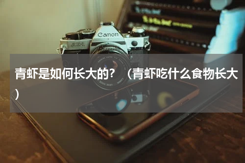 青虾是如何长大的？（青虾吃什么食物长大）