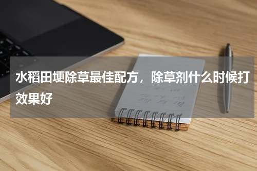 水稻田埂除草最佳配方，除草剂什么时候打效果好