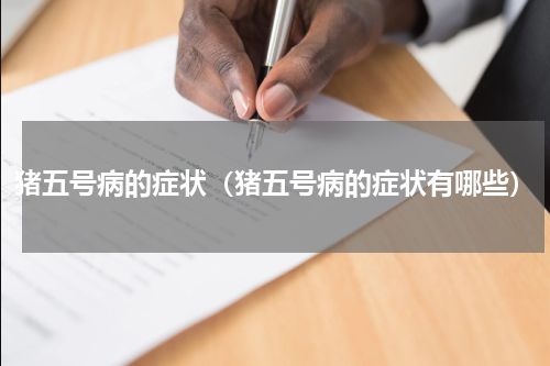 猪五号病的症状（猪五号病的症状有哪些）
