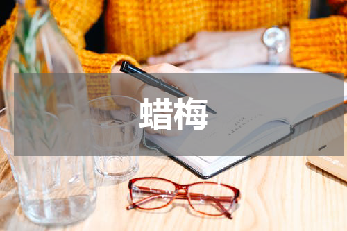 蜡梅