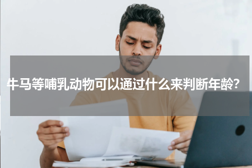 牛马等哺乳动物可以通过什么来判断年龄？