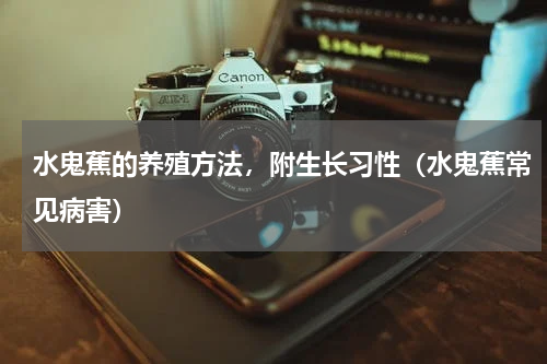 水鬼蕉的养殖方法，附生长习性（水鬼蕉常见病害）