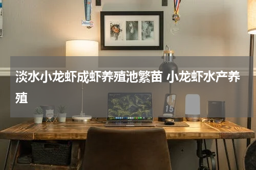 淡水小龙虾成虾养殖池繁苗 小龙虾水产养殖