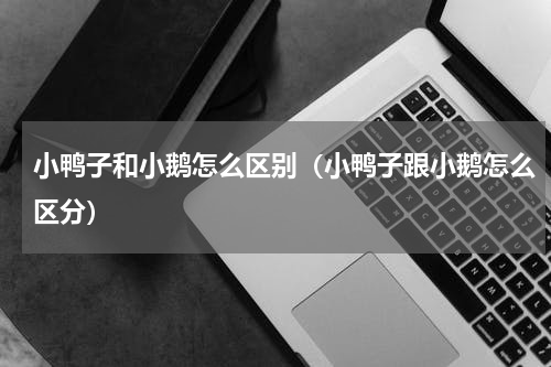 小鸭子和小鹅怎么区别（小鸭子跟小鹅怎么区分）