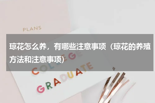 琼花怎么养，有哪些注意事项（琼花的养殖方法和注意事项）
