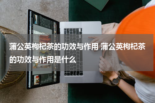 蒲公英枸杞茶的功效与作用 蒲公英枸杞茶的功效与作用是什么