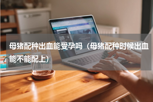 母猪配种出血能受孕吗（母猪配种时候出血能不能配上）