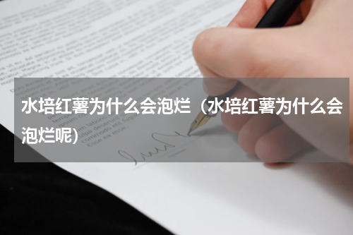 水培红薯为什么会泡烂（水培红薯为什么会泡烂呢）