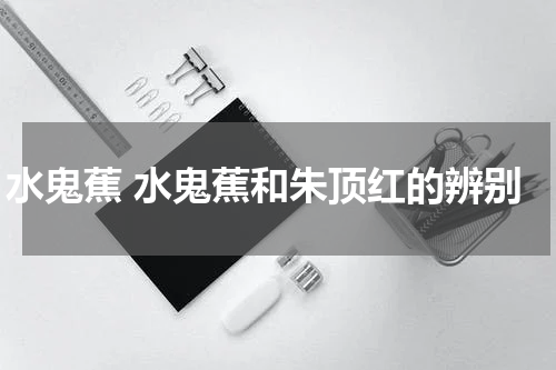 水鬼蕉 水鬼蕉和朱顶红的辨别