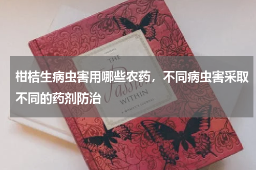 柑桔生病虫害用哪些农药，不同病虫害采取不同的药剂防治