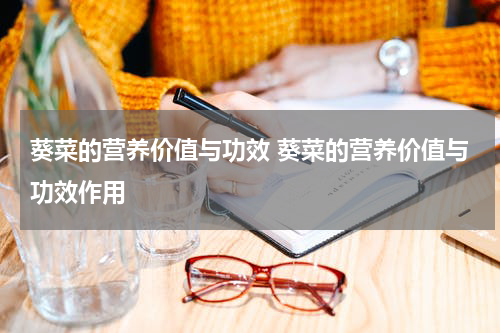 葵菜的营养价值与功效 葵菜的营养价值与功效作用