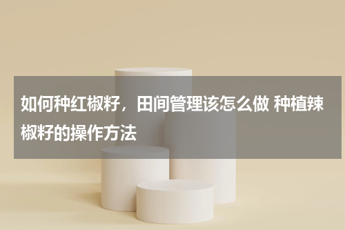 如何种红椒籽，田间管理该怎么做 种植辣椒籽的操作方法
