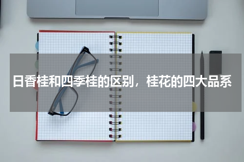 日香桂和四季桂的区别，桂花的四大品系